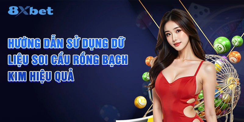 Hướng dẫn sử dụng dữ liệu soi cầu Rồng Bạch Kim hiệu quả